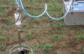 soil test2