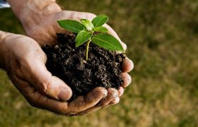 soiltesting